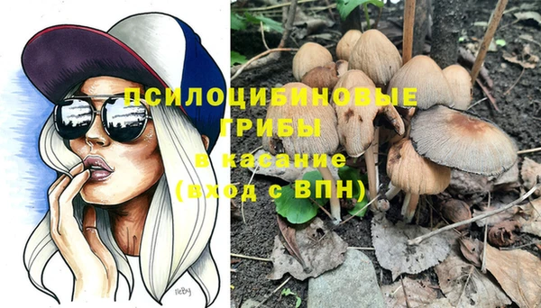 соль курить ск Аркадак